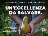 La crisis alcanzó a la producción de peras italianas