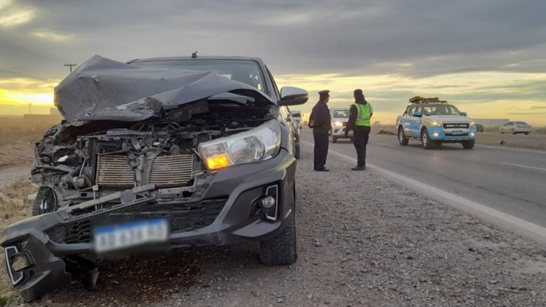 Peligro: animales sueltos provocan accidentes en Autovía Norte