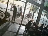 Resurgen los patachorros y buscan hacerse de motos nuevas para vender en el mercado negro.
