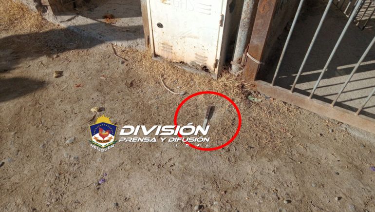 Detenido tras atacar con un cuchillo a su pareja