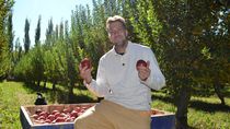 Alan Jacobsen, ex jugador y organizador de eventos top / Foto
