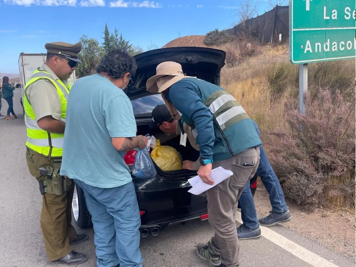 Chile reforzará los controles en frontera para que no ingrese fruta y carne en forma irregular.