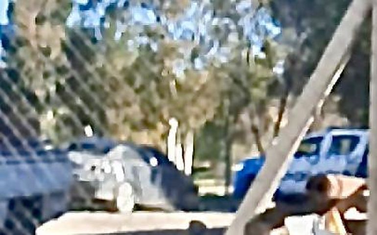 Escándalo: concejal electo estaba borracho, volcó y culpó a su amiga