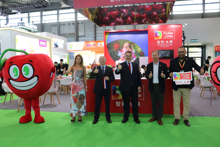 Chile ha realizado en los últimos meses una intensa campaña comunicacional intentando volver a colocar a la cereza como sinónimo de fruta de calidad. Chile ha realizado en los últimos meses una intensa campaña comunicacional intentando volver a colocar a la cereza como sinónimo de fruta de calidad.