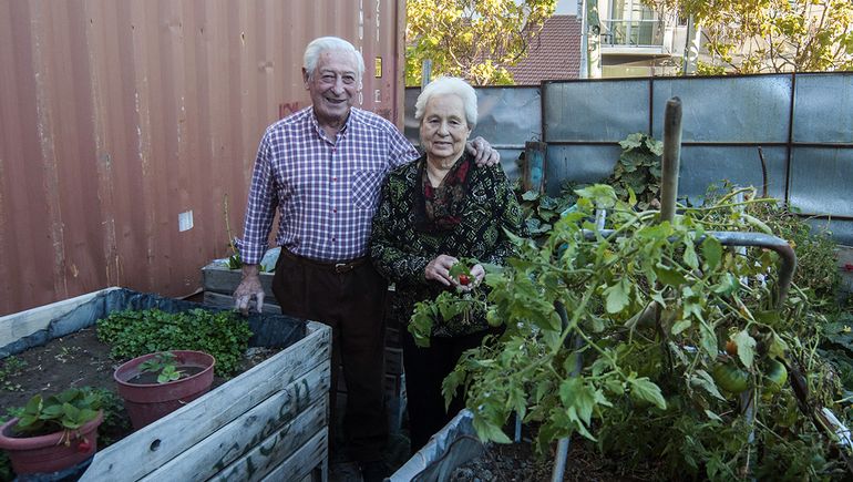 Convirtieron un baldío en una huerta en pleno centro de la ciudad