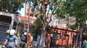 Horror en Saavedra: el accidente causó una muerte y un internado en grave estado.