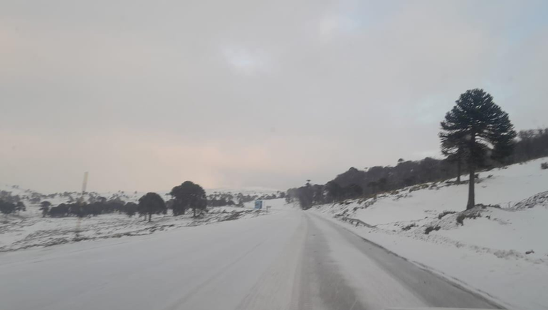 El estado de rutas y pasos fronterizos en Neuquén: el más importante, intransitable por nieve