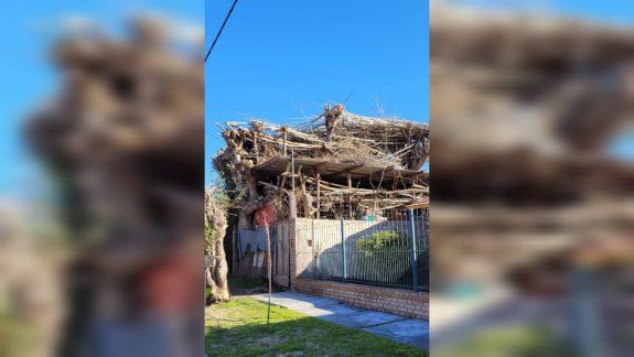 Otro acumulador enciende las alarmas: armó entrepisos de ramas arriba del techo