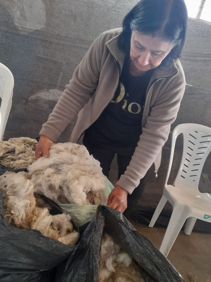 Adela también participó en la Fiesta del Piñonero en Villa Pehuenia. Adela también participó en la Fiesta del Piñonero en Villa Pehuenia.