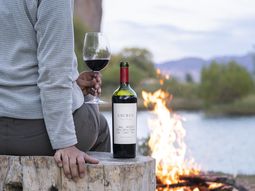 Malbec, emblema varietal dentro y fuera de Argentina. Foto: Bodega Familia Schroeder. Malbec, emblema varietal dentro y fuera de Argentina. Foto: Bodega Familia Schroeder.