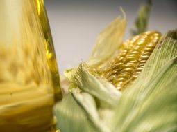 Brasil se afianza como un gigante gobal. Brasil se afianza como un gigante gobal.