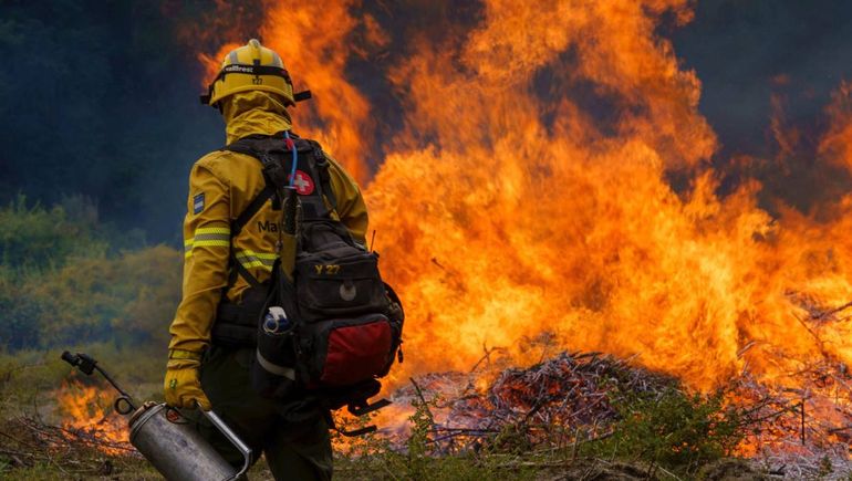 La quema de brigadistas del Parque Nacional Lanín para evitar incendios forestales en verano: de qué se trata