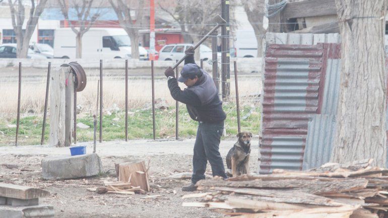 El operativo leña llega anualmente a miles de familias neuquinas.