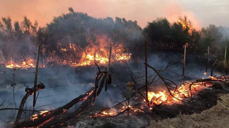 El fuego no se detiene y ataca a La Pampa