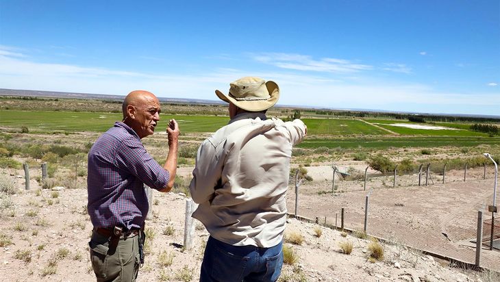 Producir donde casi nada crece exige planificación, tecnología y un esfuerzo cotidiano que pocas veces se ve. Producir donde casi nada crece exige planificación, tecnología y un esfuerzo cotidiano que pocas veces se ve.