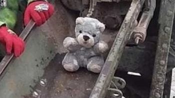 Teddy, el osito de peluche perdido en Comodoro Rivadavia, Chubut. Teddy, el osito de peluche perdido en Comodoro Rivadavia, Chubut.