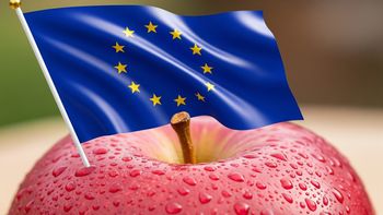 El hemisferios sur se reposiciona como principal abastecedor de manzanas de la UE en contraestación. El hemisferios sur se reposiciona como principal abastecedor de manzanas de la UE en contraestación.