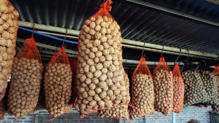 Nueces peladas a mano, cuidando cada fruto. Nueces peladas a mano, cuidando cada fruto.