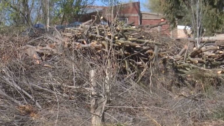 Por miedo a incendios y por las ratas, vecinos piden retirar una leñera