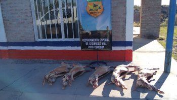 se preparaba para festejar navidad y le decomisaron cinco chivitos se preparaba para festejar navidad y le decomisaron cinco chivitos