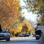 Se viene un otoño muy frío en la ciudad. | LM Neuquen Se viene un otoño muy frío en la ciudad.