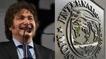 milei reanudo el ciclo de tormentas con el congreso: los argumentos del nuevo veto y el respaldo del fmi