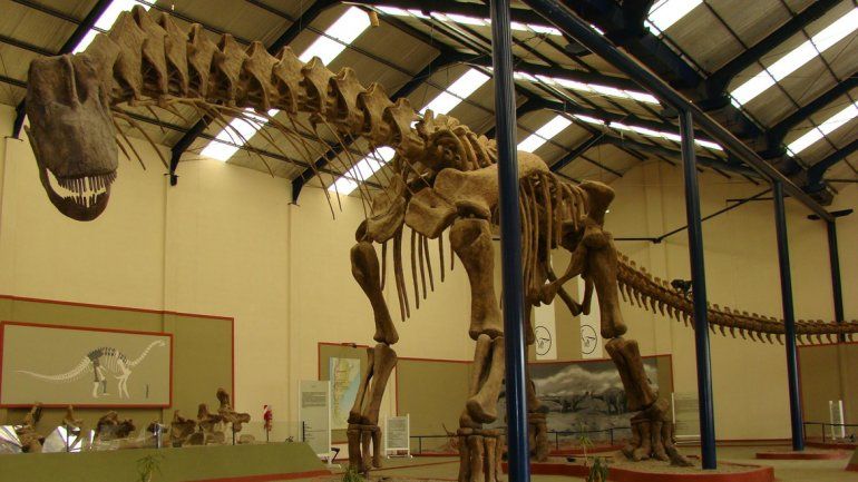 El Argentinosaurios Huinculenses en el museo Carmen Funes.