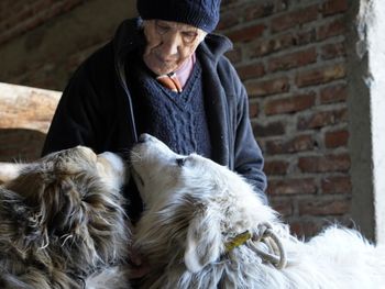 Implementó el manejo con perros protectores para cuidar a su ganado. Foto: Miguel Villegas