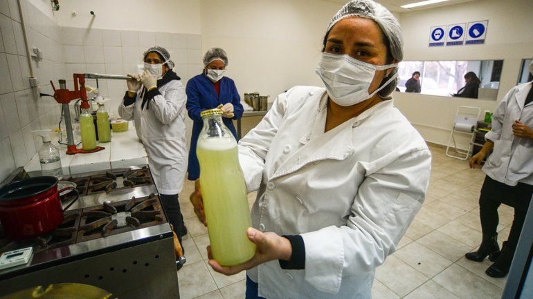 Agricultura urbana, la escuela donde se aprende a cultivar, envasar y producir