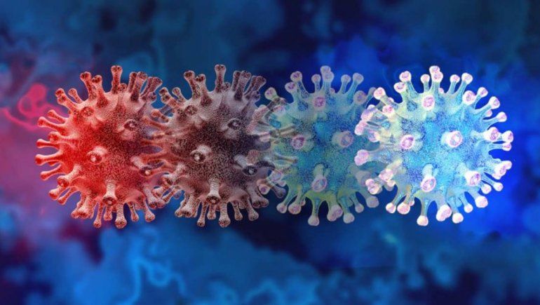 Covid-19: se contagió con dos variantes al mismo tiempo y murió