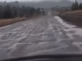 Vialidad y comunidades de Aluminé y Villa Pehuenia analizan el estado de las rutas