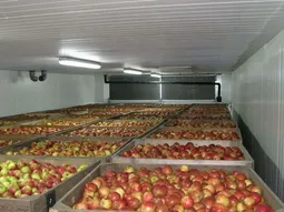 Los elevados volúmenes almacenados de manzana y pera en la Unión Europea generan preocupación entre los exportadores del hemisferio sur. Los elevados volúmenes almacenados de manzana y pera en la Unión Europea generan preocupación entre los exportadores del hemisferio sur.
