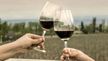 Cabernet Franc: Hace diez años era un perfecto desconocido para los consumidores. | LM Neuquen Cabernet Franc: Hace diez años era un perfecto desconocido para los consumidores.