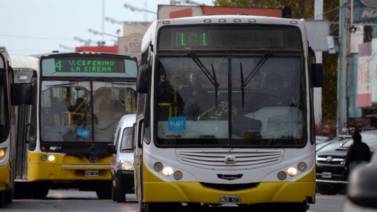 La línea 101 desviará su trayectoria habitual por la Colectora Oeste.
