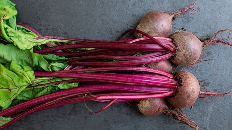 La remolacha clave para combatir enfermedades complejas. La remolacha clave para combatir enfermedades complejas.