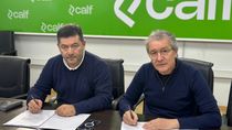 calf se sumo a la tendencia del streaming con sensa