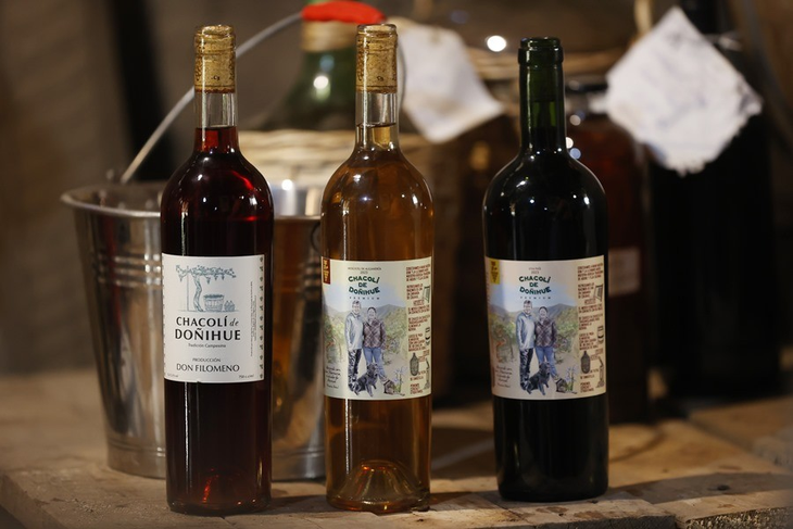 El txakoli quedó marginado por las nuevas dinámicas de gusto y de consumo. El txakoli quedó marginado por las nuevas dinámicas de gusto y de consumo.