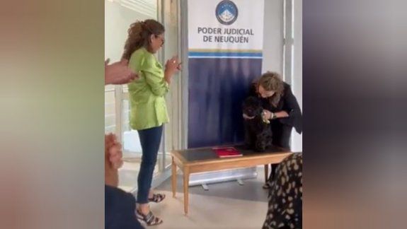 Video: el tierno momento del perro Oreo que conmovió a todos y fue viral