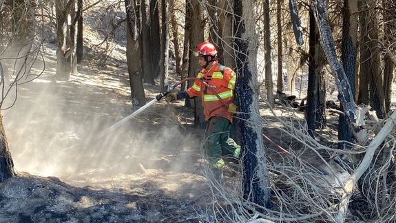 Incendio en Los Cipreses: cómo circunscribieron las llamas que afectaron a 100 hectáreas de bosques nativos