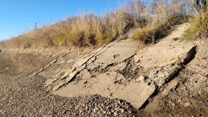 Plazos estratégicos: El DPA busca completar las tareas antes del inicio del ciclo productivo para asegurar la cosecha frutícola. Plazos estratégicos: El DPA busca completar las tareas antes del inicio del ciclo productivo para asegurar la cosecha frutícola.