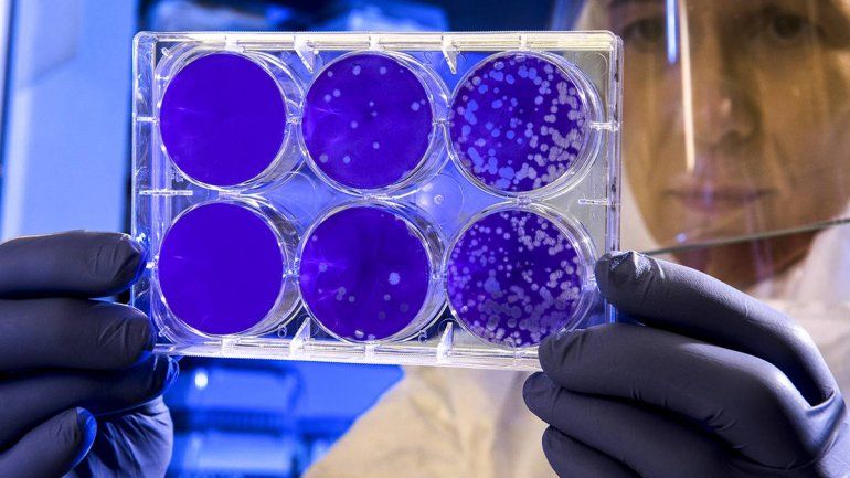 Descubrieron mutaciones del coronavirus en Argentina