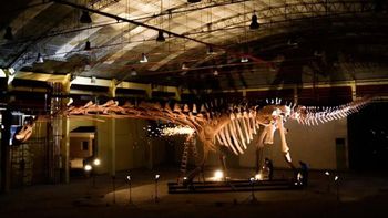 El museo MEF de Trelew, y el dinosaurio más grande del mundo. El museo MEF de Trelew, y el dinosaurio más grande del mundo.