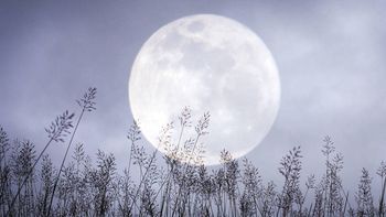 La Luna de Nieve se conoce también como Luna Brillante por su intensidad lumínica. La Luna de Nieve se conoce también como Luna Brillante por su intensidad lumínica.