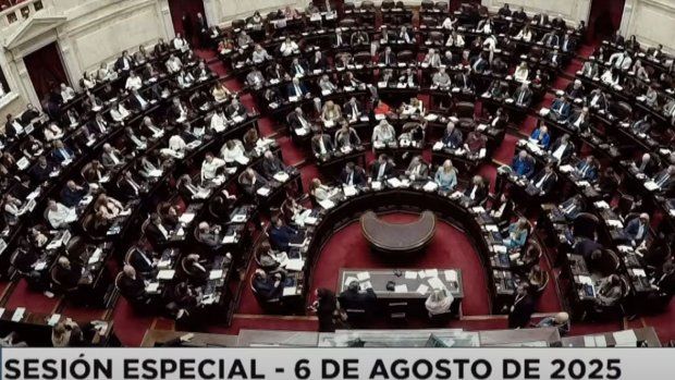 Los diputados neuquinos y rionegrinos dividieron sus votos.