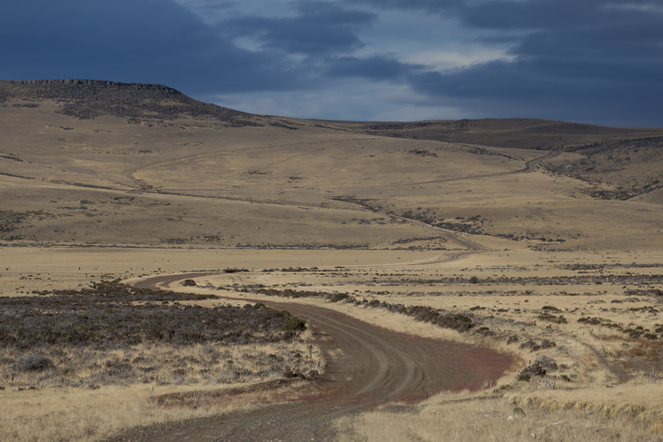 La ganadería ovina está cediendo terreno en el sur del sur y cada vez hay más campos abandonados, estancias abocadas al turismo rural y productores que bajan los brazos. La ganadería ovina está cediendo terreno en el sur del sur y cada vez hay más campos abandonados, estancias abocadas al turismo rural y productores que bajan los brazos.