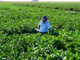 ¿Cuáles son lso beneficios de la tecnología a la hora de bajar los costos de producción?
