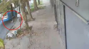 Tras el accidente, la madre del neneresponsabiliza al chofer del colectivo. | LM Neuquen Tras el accidente, la madre del neneresponsabiliza al chofer del colectivo.