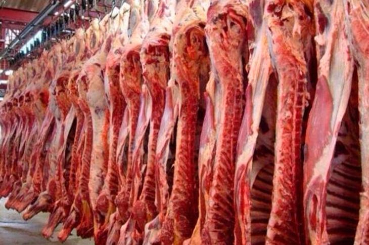 Las exportaciones de carne vacuna en enero crecieron 19%