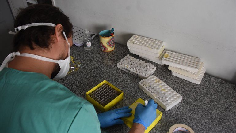 El coronavirus sumó 283 nuevos contagios y seis muertes en Neuquén