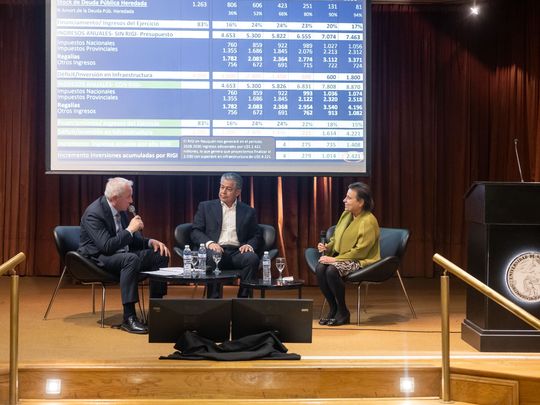 RIGI: el debate que se abre tras dos años y más de US$100.000 millones en inversiones anunciadas.